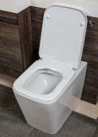 Esk Back To Wall Toilet (15383)