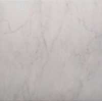 Elevation Carrara Ceramic Tile 450 x 450mm (20253)