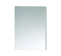 Neon Single Door Mirrored Bathroom Cabinet (400mm x 700mm) (13376)