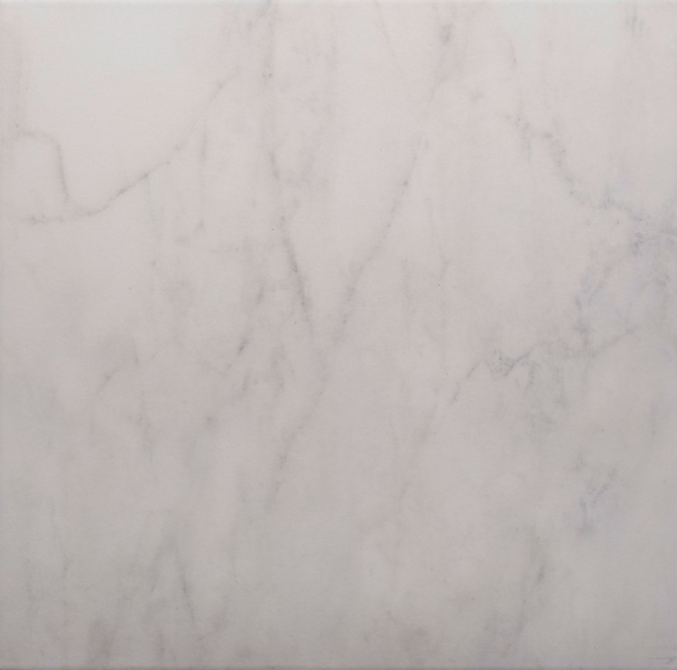 Elevation Carrara Ceramic Tile 450 x 450mm (20253)
