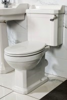 New Hampshire Traditional Toilet (NHAM-TT)