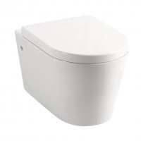 Froxfield Wall Hung Toilet (22432)